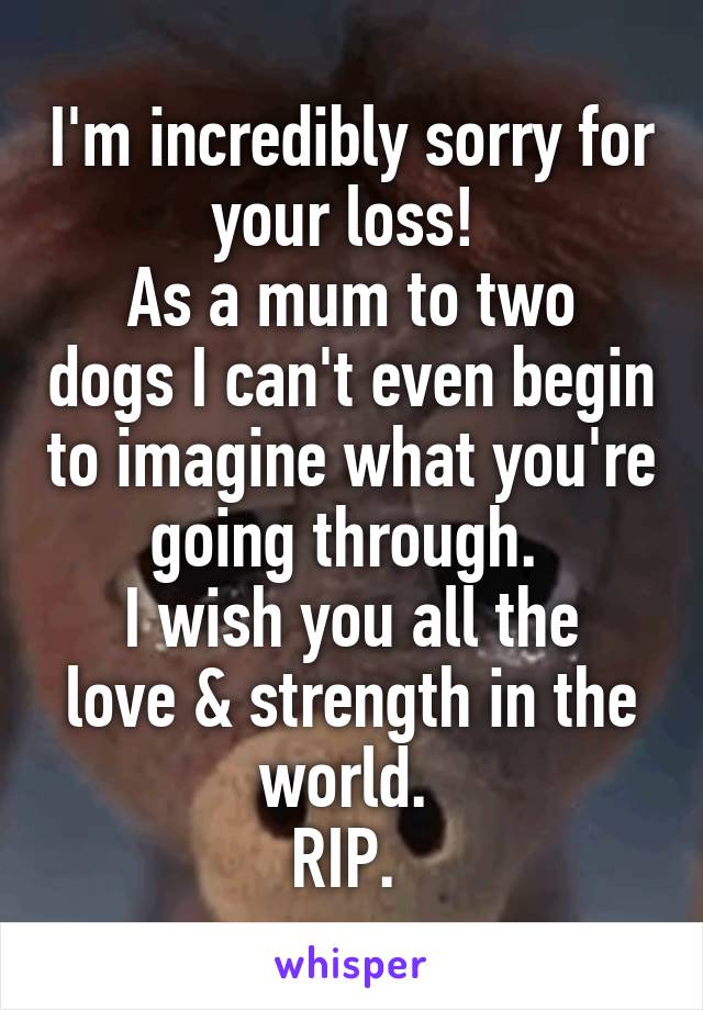 I'm incredibly sorry for your loss! 
As a mum to two dogs I can't even begin to imagine what you're going through. 
I wish you all the love & strength in the world. 
RIP. 