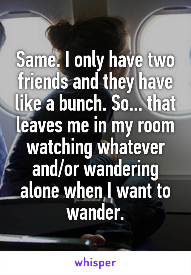 Same. I only have two friends and they have like a bunch. So... that leaves me in my room watching whatever and/or wandering alone when I want to wander.