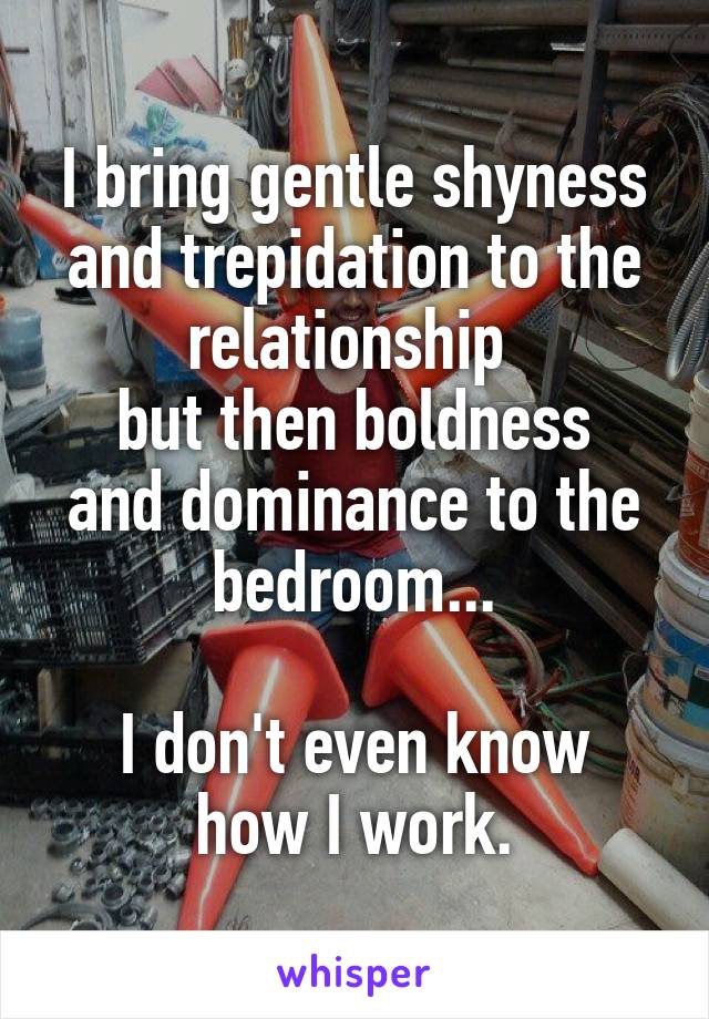 I bring gentle shyness and trepidation to the relationship 
but then boldness and dominance to the bedroom...

I don't even know how I work.