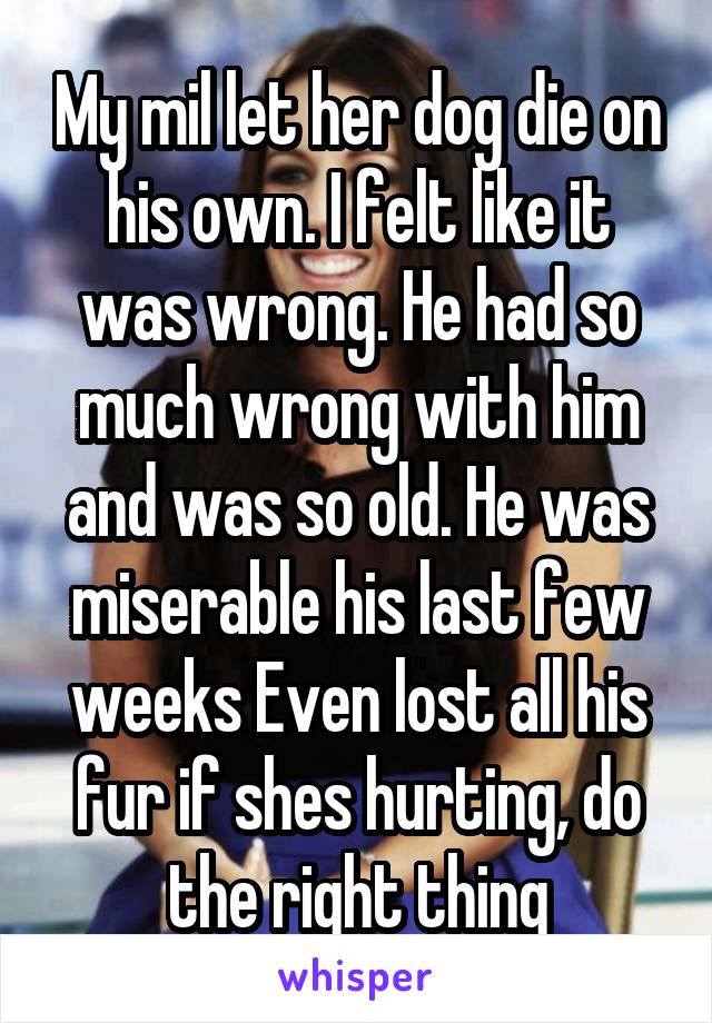 My mil let her dog die on his own. I felt like it was wrong. He had so much wrong with him and was so old. He was miserable his last few weeks Even lost all his fur if shes hurting, do the right thing