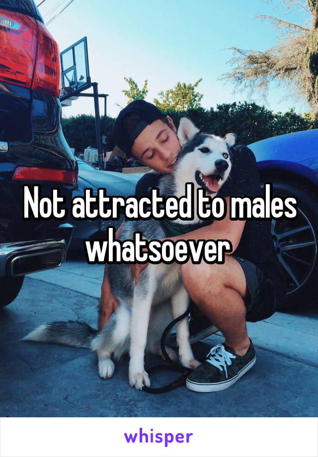 Not attracted to males whatsoever 
