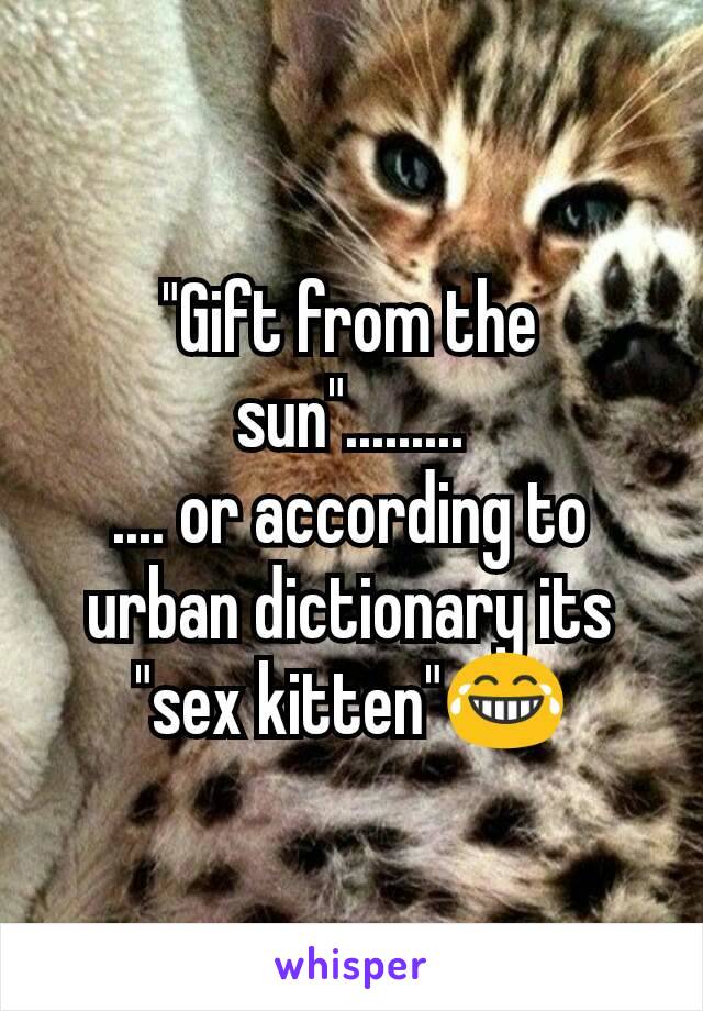 "Gift from the sun".........
.... or according to urban dictionary its "sex kitten"😂