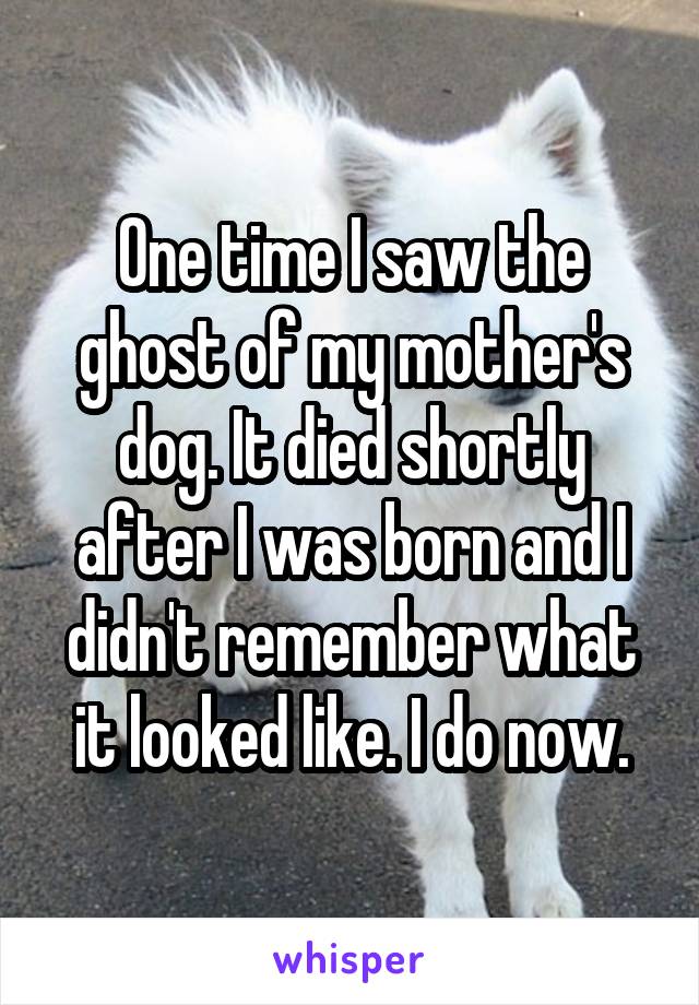 One time I saw the ghost of my mother's dog. It died shortly after I was born and I didn't remember what it looked like. I do now.