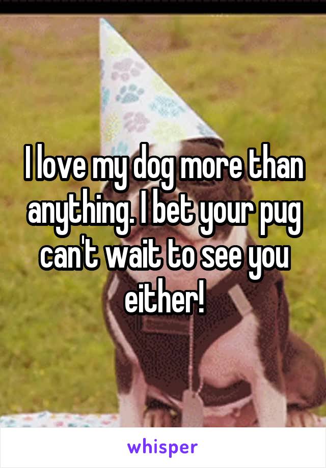 I love my dog more than anything. I bet your pug can't wait to see you either!