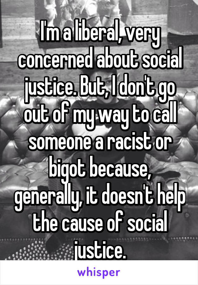 I'm a liberal, very concerned about social justice. But, I don't go out of my way to call someone a racist or bigot because, generally, it doesn't help the cause of social justice.