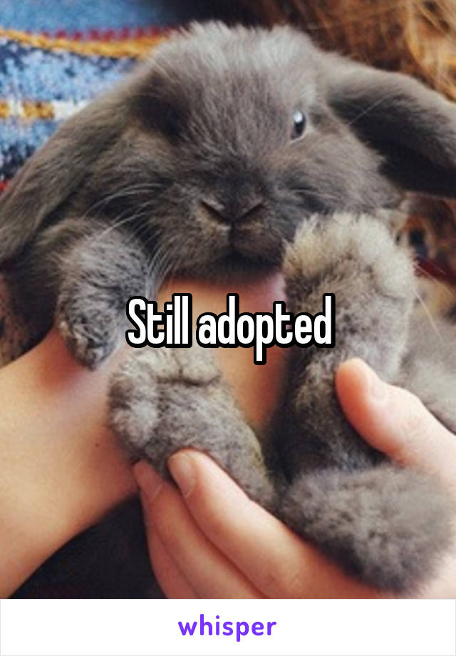 Still adopted