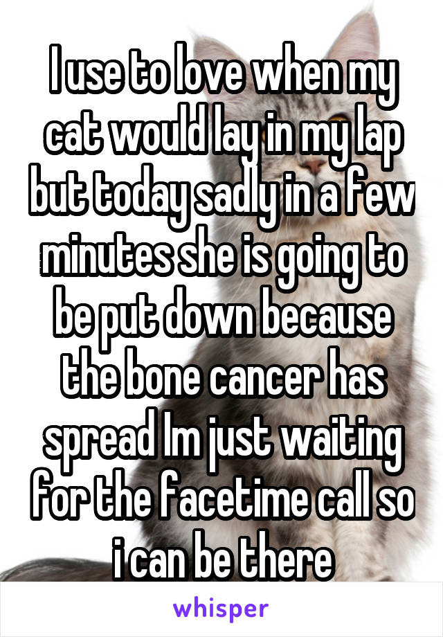 I use to love when my cat would lay in my lap but today sadly in a few minutes she is going to be put down because the bone cancer has spread Im just waiting for the facetime call so i can be there