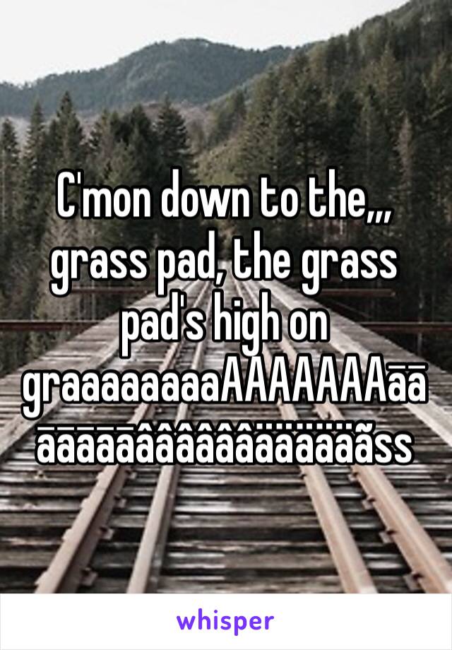 C'mon down to the,,,
grass pad, the grass pad's high on graaaaaaaaAAAAAAAāāāāāāāââââââäääääãss