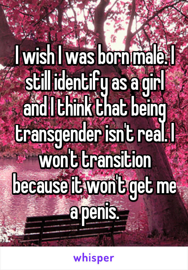 I wish I was born male. I still identify as a girl and I think that being transgender isn't real. I won't transition because it won't get me a penis.