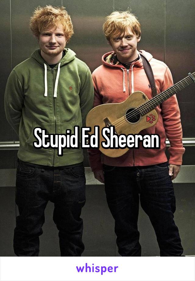 Stupid Ed Sheeran 