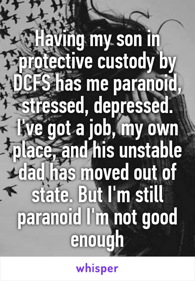 Having my son in protective custody by DCFS has me paranoid, stressed, depressed. I've got a job, my own place, and his unstable dad has moved out of state. But I'm still paranoid I'm not good enough