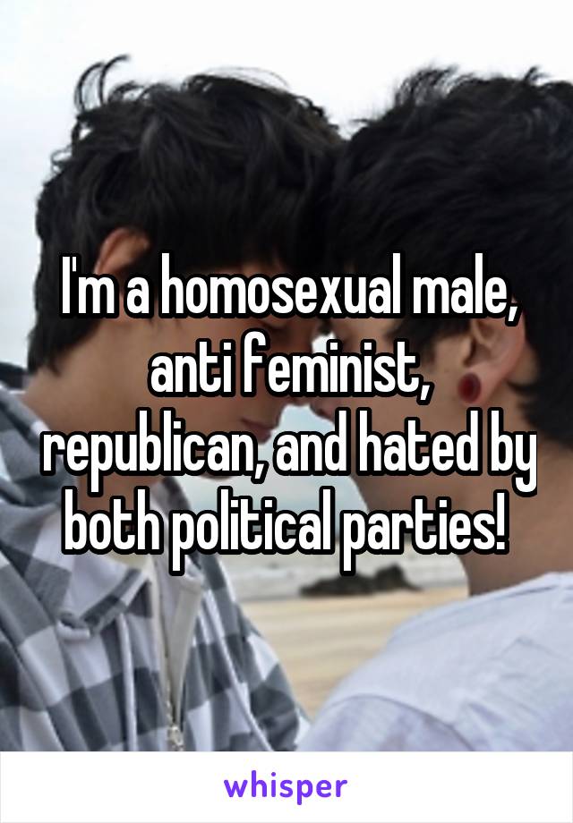 I'm a homosexual male, anti feminist, republican, and hated by both political parties! 