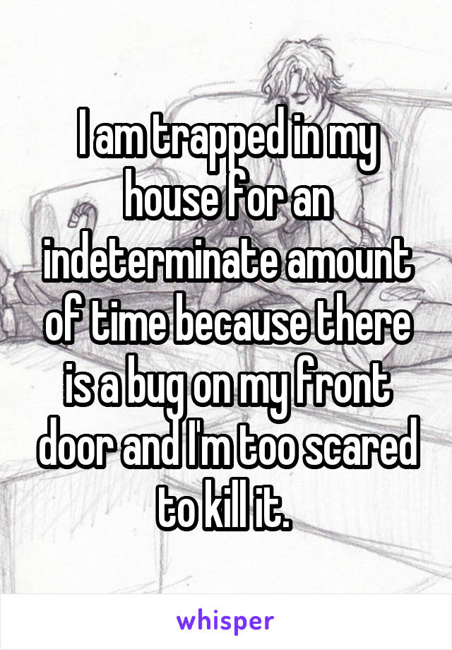 I am trapped in my house for an indeterminate amount of time because there is a bug on my front door and I'm too scared to kill it. 