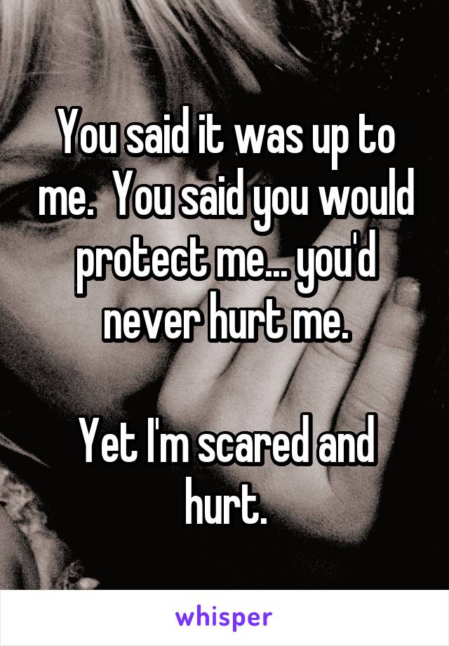 
You said it was up to me.  You said you would protect me... you'd never hurt me.

Yet I'm scared and hurt.