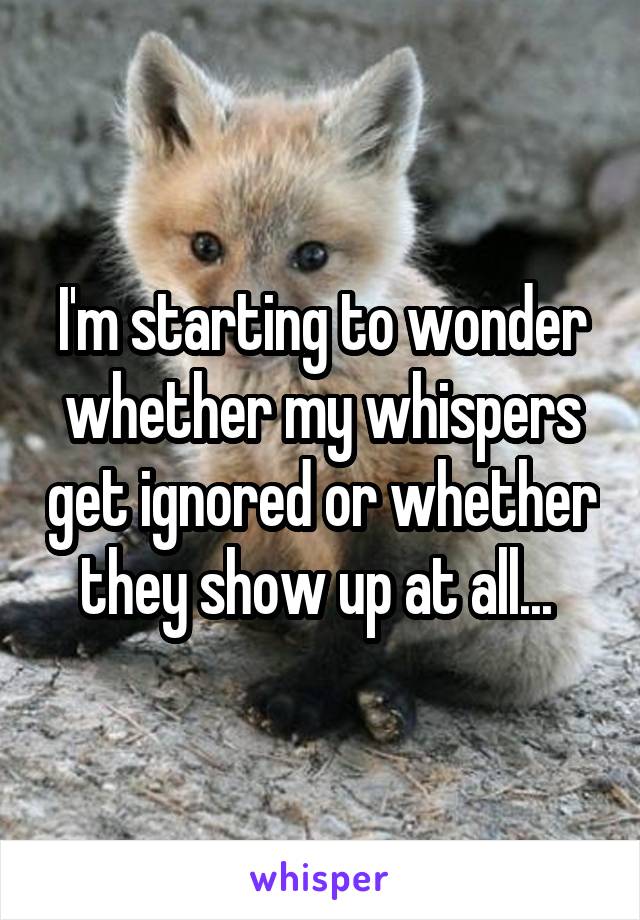 I'm starting to wonder whether my whispers get ignored or whether they show up at all... 