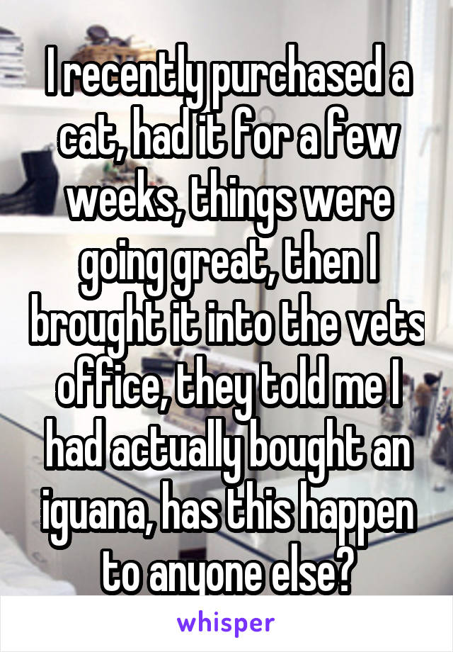 I recently purchased a cat, had it for a few weeks, things were going great, then I brought it into the vets office, they told me I had actually bought an iguana, has this happen to anyone else?