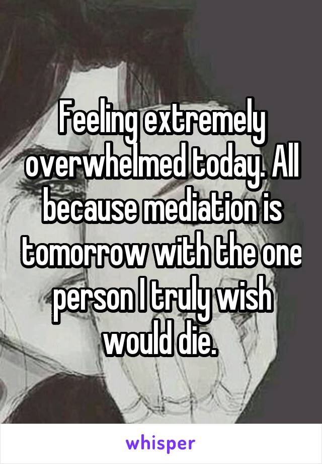 Feeling extremely overwhelmed today. All because mediation is tomorrow with the one person I truly wish would die. 