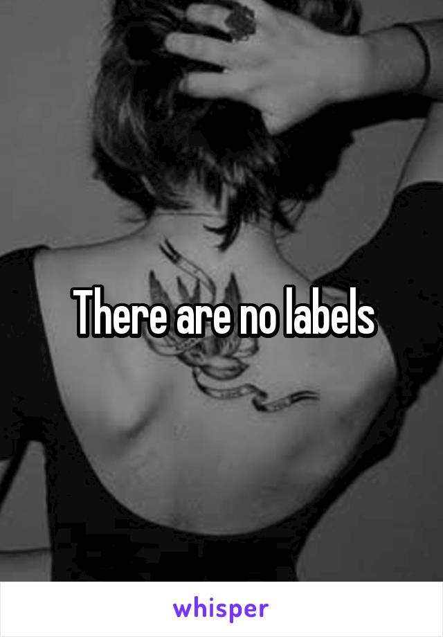 There are no labels