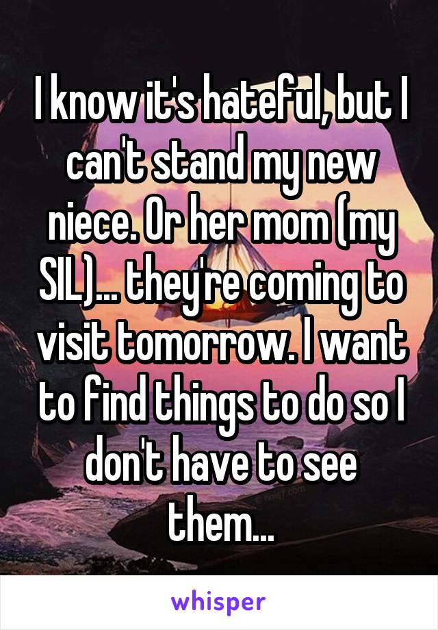 I know it's hateful, but I can't stand my new niece. Or her mom (my SIL)... they're coming to visit tomorrow. I want to find things to do so I don't have to see them...