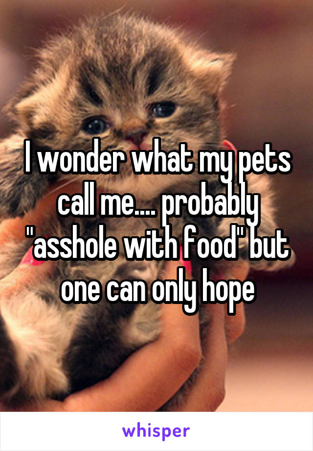 I wonder what my pets call me.... probably "asshole with food" but one can only hope