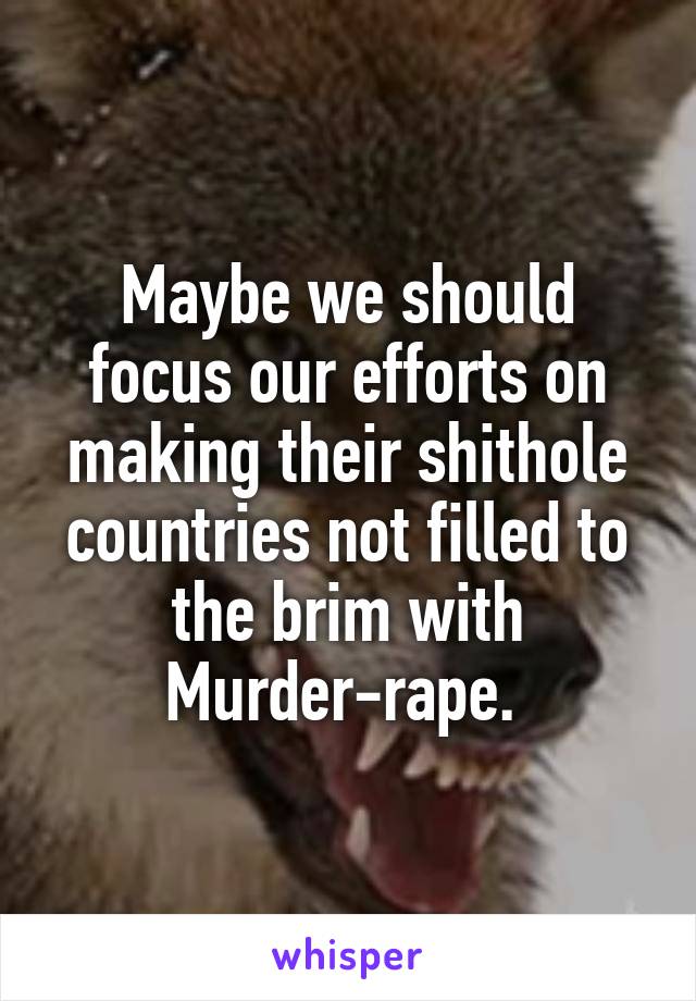 Maybe we should focus our efforts on making their shithole countries not filled to the brim with Murder-rape. 