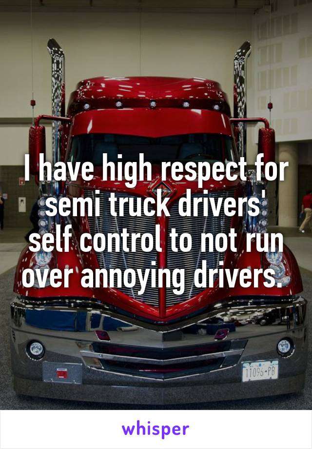 I have high respect for semi truck drivers' self control to not run over annoying drivers. 