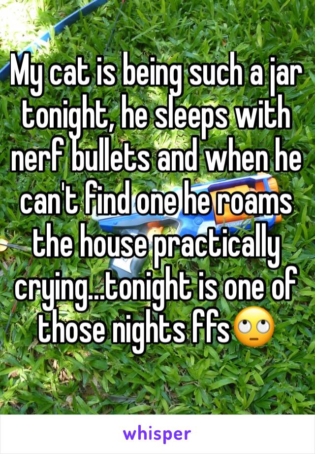 My cat is being such a jar tonight, he sleeps with nerf bullets and when he can't find one he roams the house practically crying...tonight is one of those nights ffs🙄 