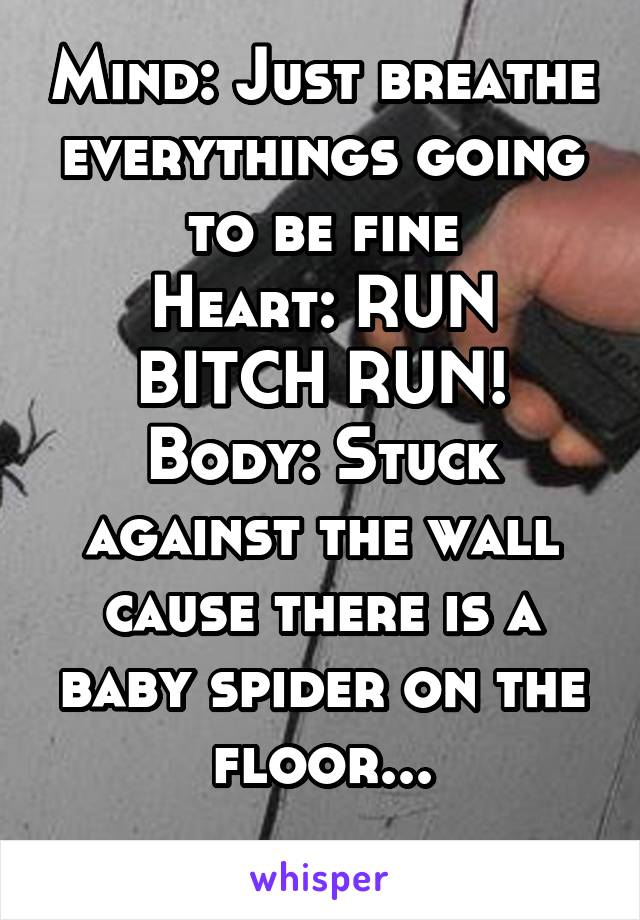 Mind: Just breathe everythings going to be fine
Heart: RUN BITCH RUN!
Body: Stuck against the wall cause there is a baby spider on the floor...
