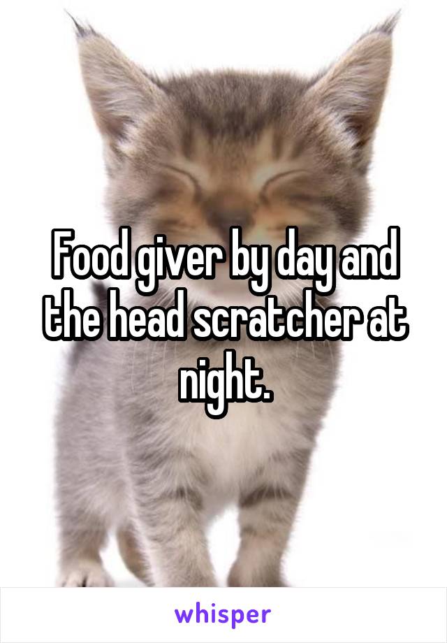 Food giver by day and the head scratcher at night.