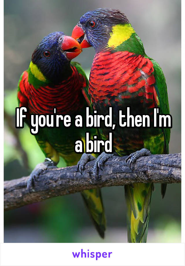 If you're a bird, then I'm a bird