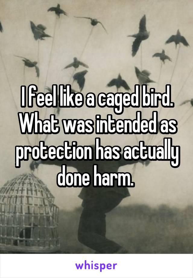 I feel like a caged bird. What was intended as protection has actually done harm. 