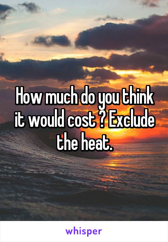 How much do you think it would cost ? Exclude the heat.