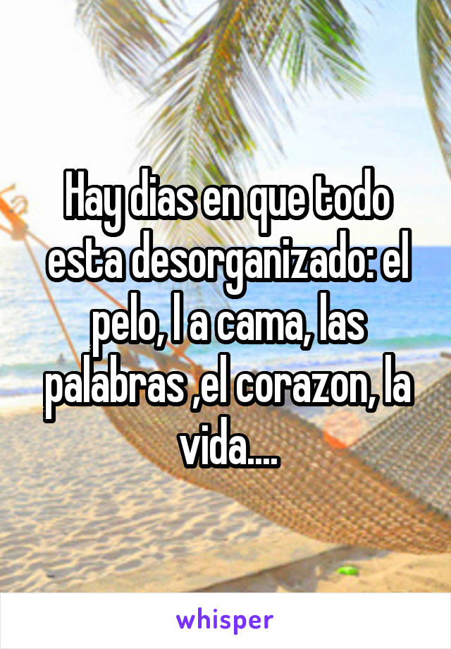 Hay dias en que todo esta desorganizado: el pelo, l a cama, las palabras ,el corazon, la vida....