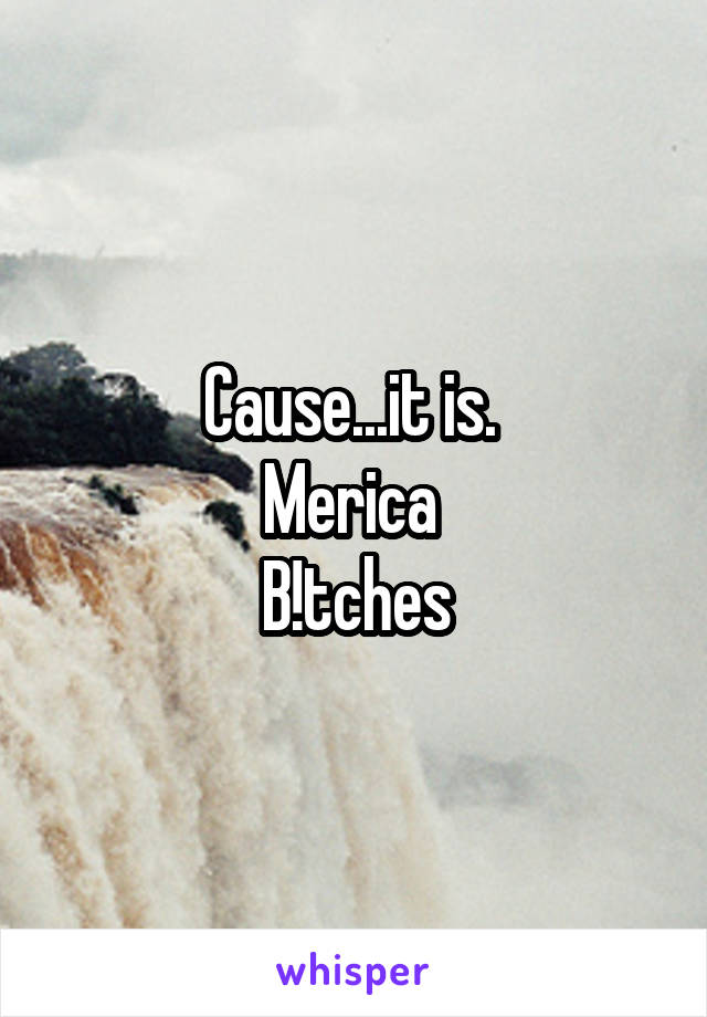 Cause...it is. 
Merica 
B!tches