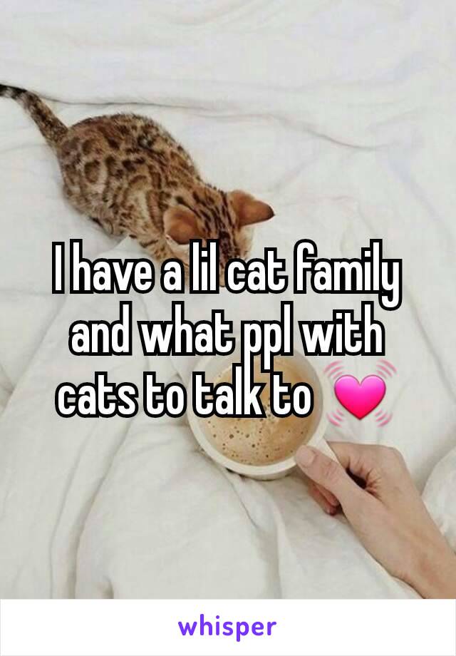 I have a lil cat family and what ppl with cats to talk to 💓