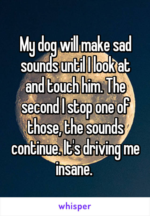 My dog will make sad sounds until I look at and touch him. The second I stop one of those, the sounds continue. It's driving me insane. 