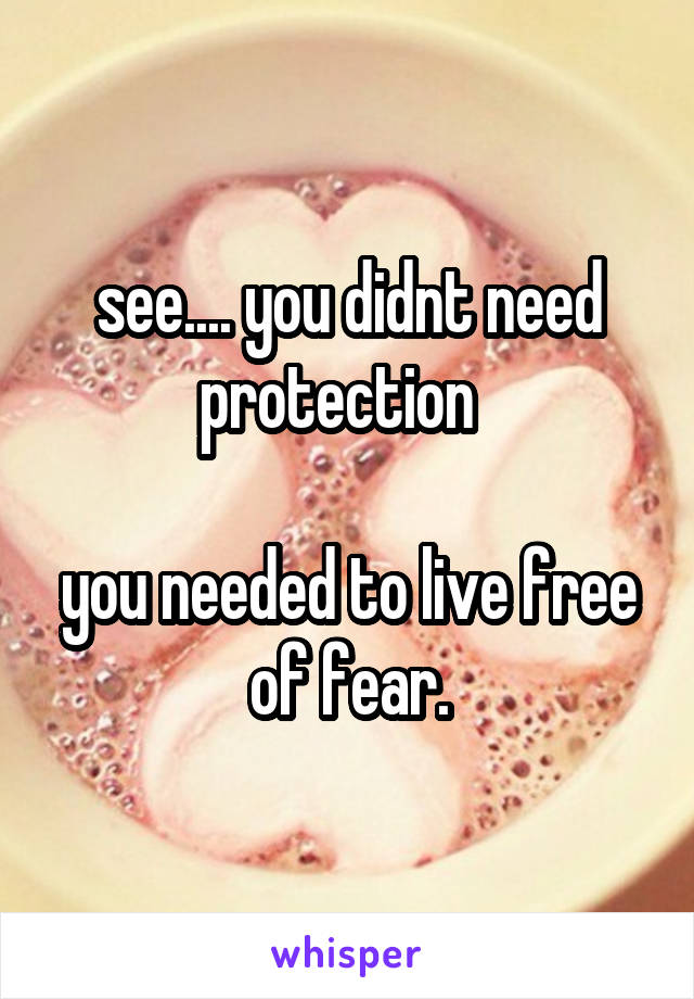 see.... you didnt need protection  

you needed to live free of fear.