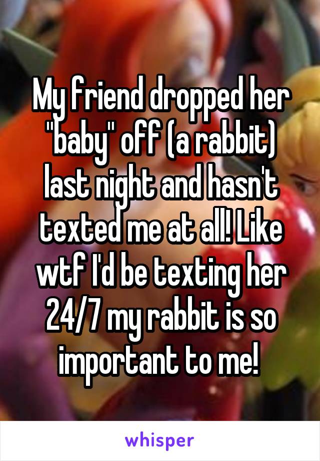 My friend dropped her "baby" off (a rabbit) last night and hasn't texted me at all! Like wtf I'd be texting her 24/7 my rabbit is so important to me! 