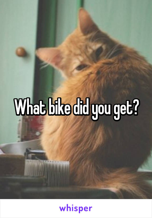 What bike did you get?