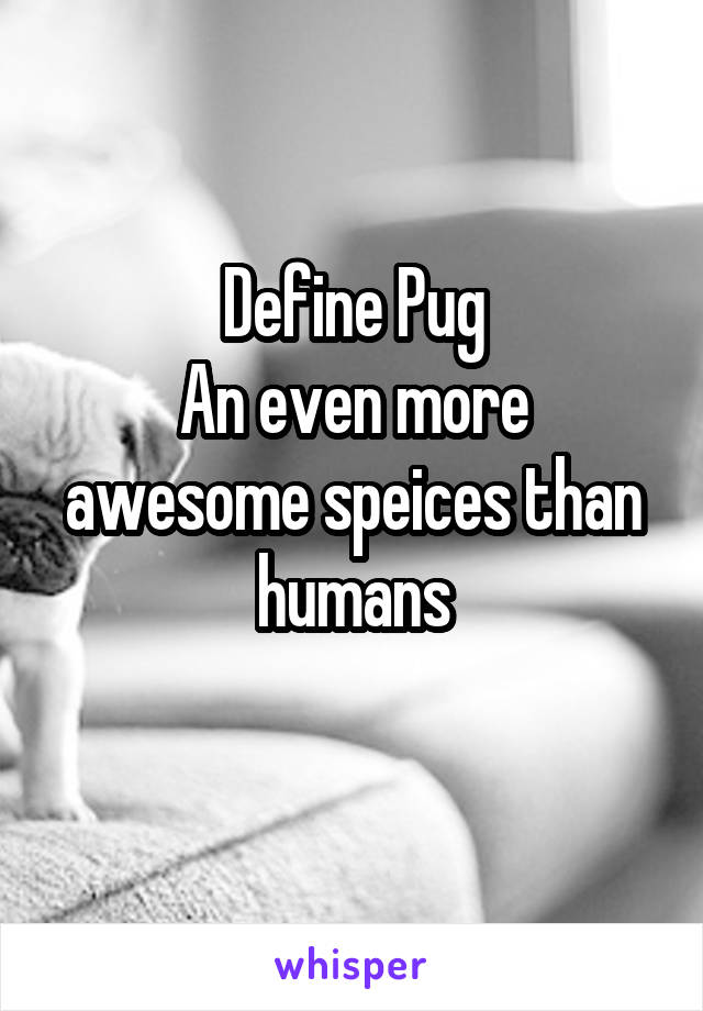  Define Pug
An even more awesome speices than humans
