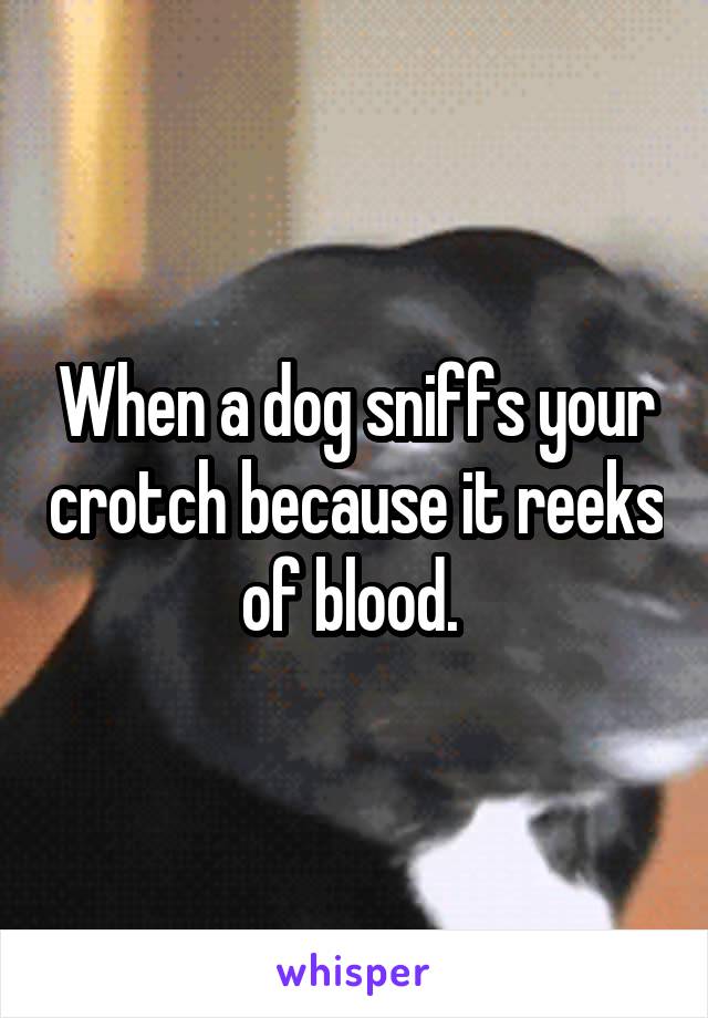 When a dog sniffs your crotch because it reeks of blood. 