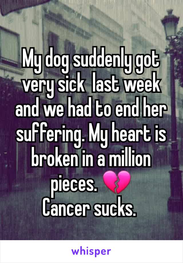 My dog suddenly got very sick  last week and we had to end her suffering. My heart is broken in a million pieces. 💔
Cancer sucks. 