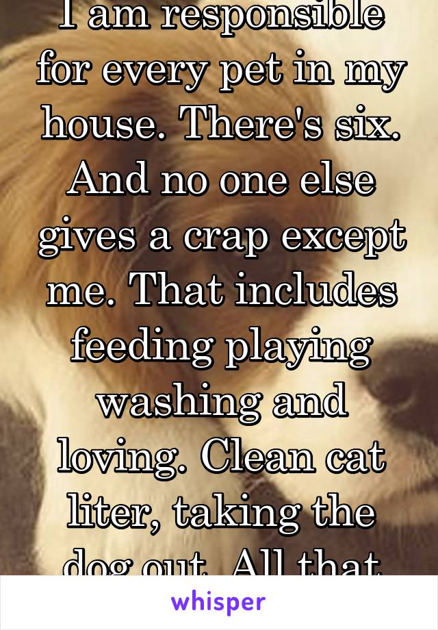 I am responsible for every pet in my house. There's six. And no one else gives a crap except me. That includes feeding playing washing and loving. Clean cat liter, taking the dog out. All that jazz