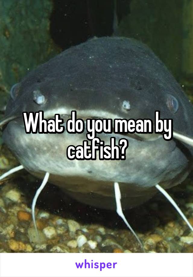 What do you mean by catfish?