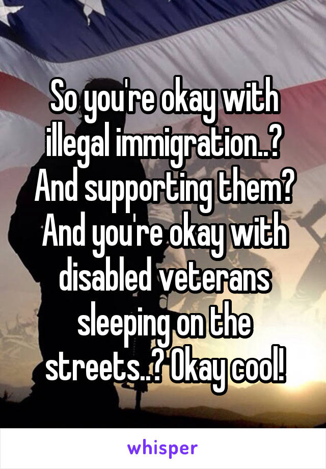 So you're okay with illegal immigration..? And supporting them? And you're okay with disabled veterans sleeping on the streets..? Okay cool!