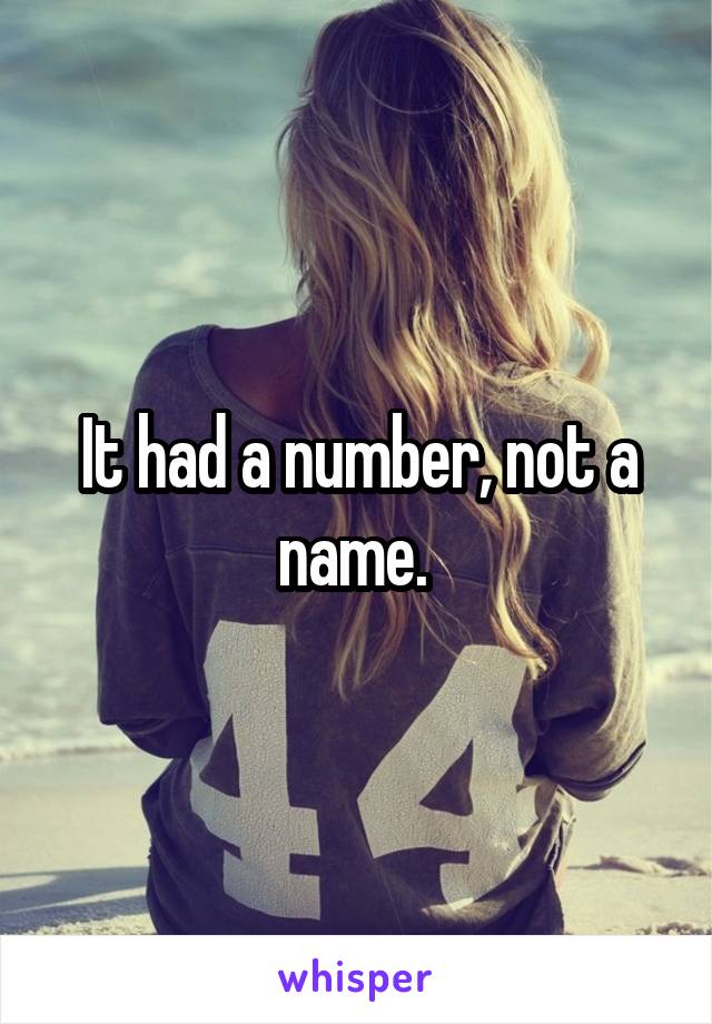 It had a number, not a name. 