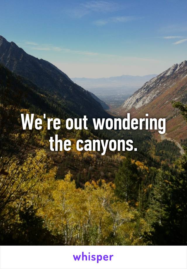 We're out wondering the canyons.