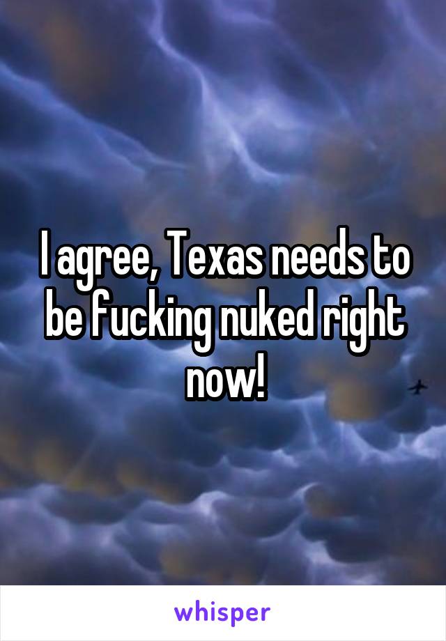 I agree, Texas needs to be fucking nuked right now!