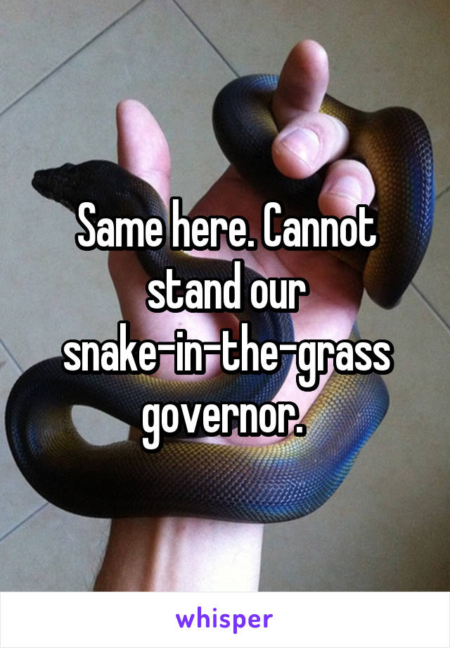 Same here. Cannot stand our snake-in-the-grass governor. 