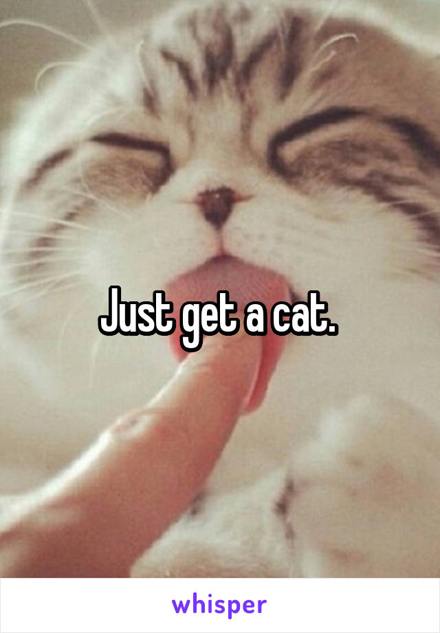 Just get a cat. 